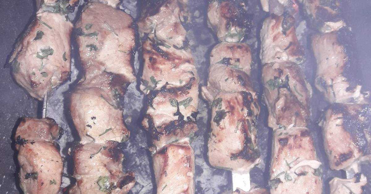Маринад для сочного шашлыка из курицы: самые вкусные рецепты куриного шашлыка