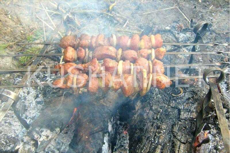 Рецепт шашлык из свинины на вине рецепт