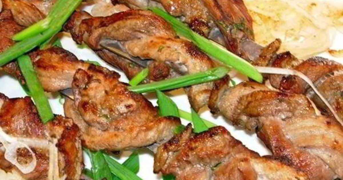 Шашлык из утки: рецепты вкусных маринадов, приготовление шашлыка на мангале, в духовке - onwomen.ru