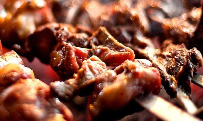 Шашлык из утки: рецепт, фото, как замариновать мясо утки для шашлыка - рецепты