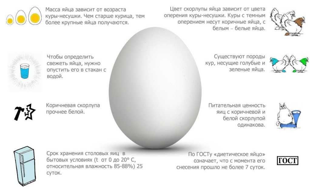 Лучшее виброяйцо - Что это - Для чего нужно - Отзывы, применение, инструкция