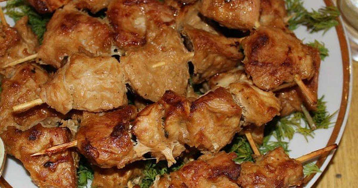 Шашлык из курицы в майонезе: рецепт с фото пошагово. как приготовить шашлык из курицы с майонезом?