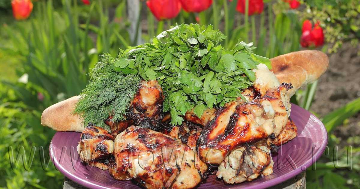 14 потрясающих маринадов для куриного шашлыка — мясо мягкое и сочное
