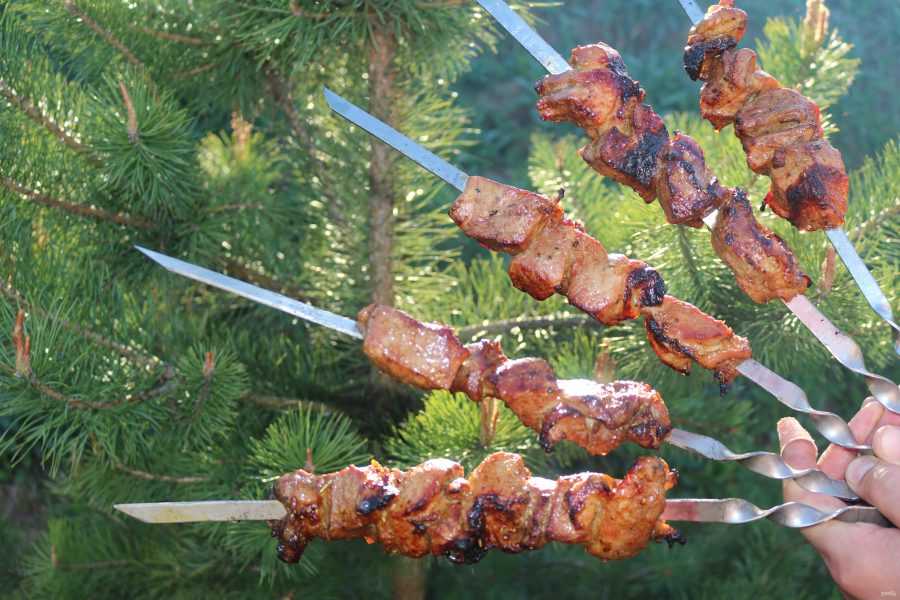 Маринад для шашлыка с уксусом: 5 лучших рецептов для мяса