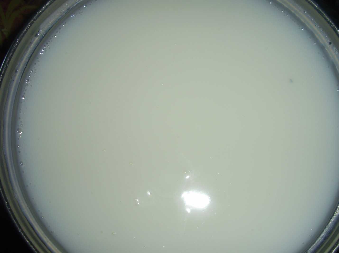Кисель молочный. рецепт приготовления в домашних условиях