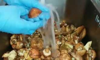 очищаем грибы