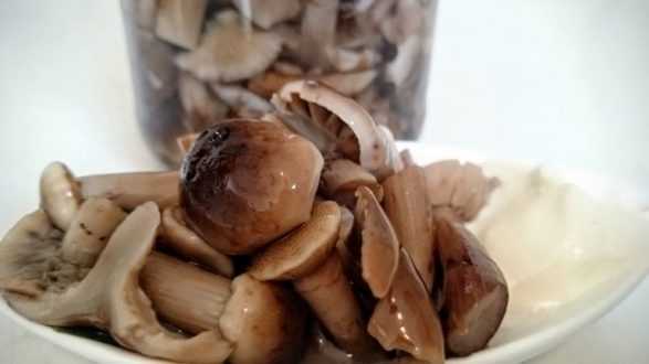 маринованные грибы в тарелке