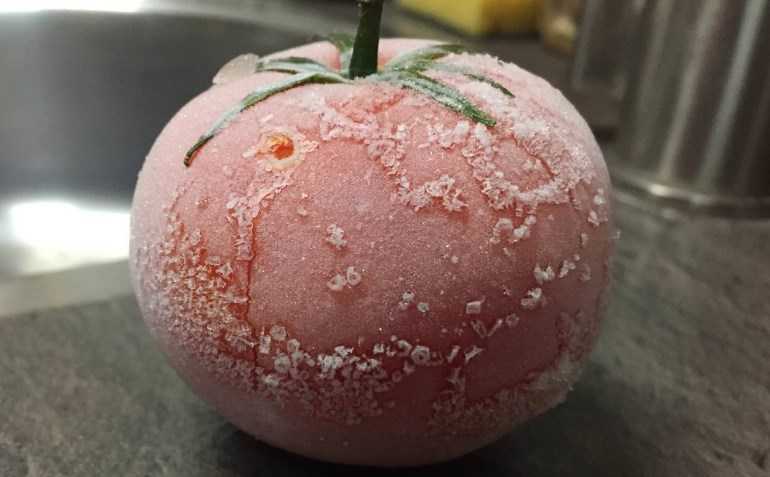 замороженный помидор целиком
