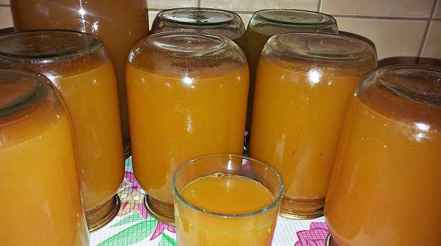 Сок из яблок и груш через соковыжималку на зиму - рецепт из белого налива, что делать с яблочным пюре после соковыжималки
