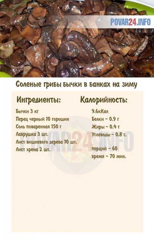 Лучшие рецепты, как засолить грибы бычки в домашних условиях холодным и горячим способом