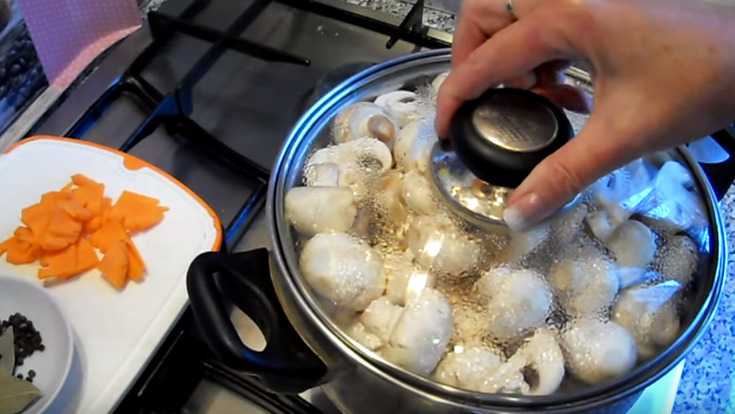 Маринованные шампиньоны на зиму в домашних условиях - простой рецепт приготовления в банках