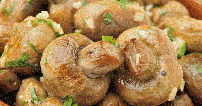 Рецепт 1. Тушеные грибы со сметанным соусом и луком