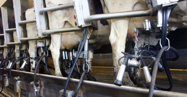 Автоматизация на молочной ферме