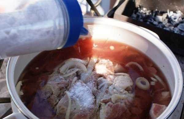 Шашлык на минералке - как правильно и вкусно приготовить в домашних условиях по пошаговым рецептам с фото