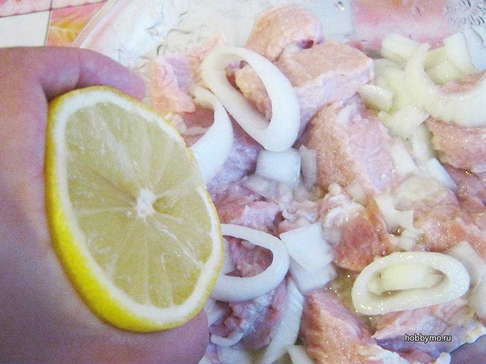 Маринад для шашлыка из свинины, курицы, баранины, индейки — как приготовить маринад для вкусного шашлыка — рецепты с луком, лимоном, уксусом, кефиром