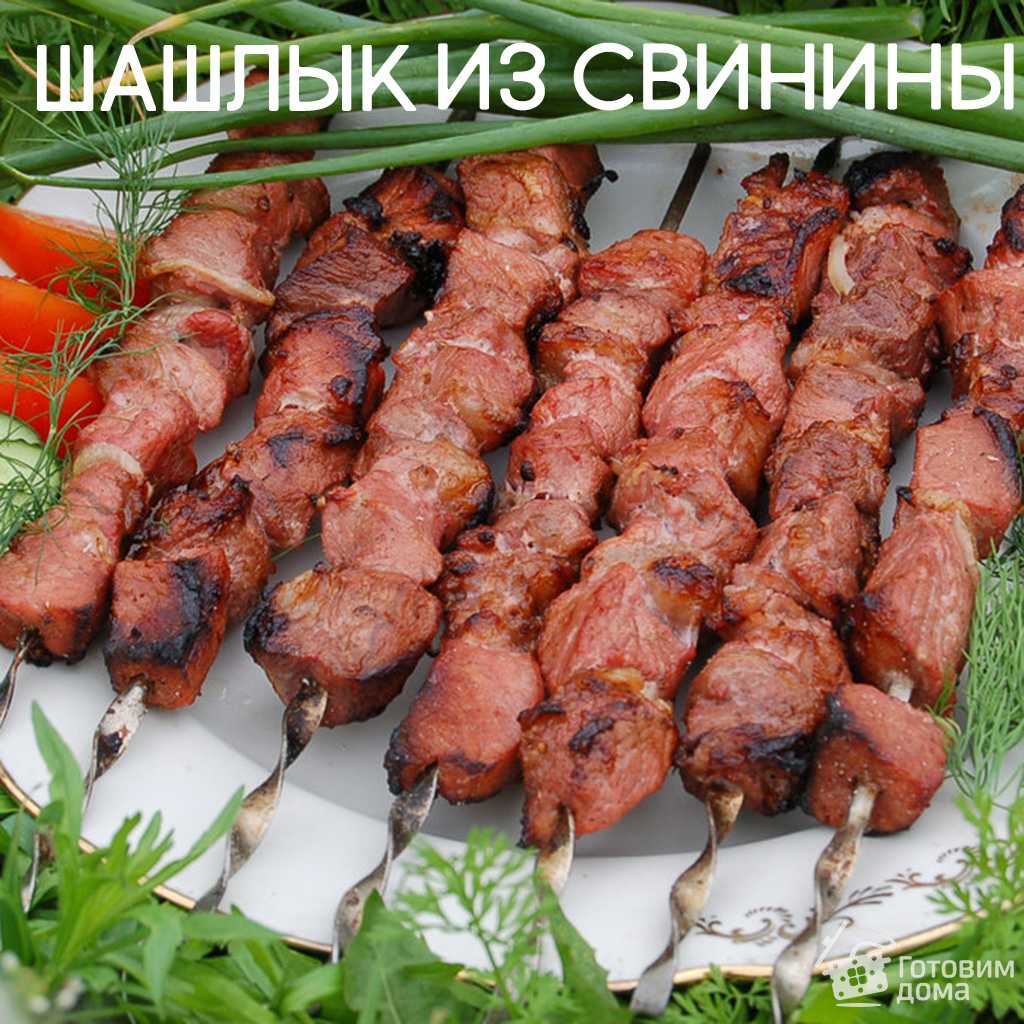 Шашлык из свинины в гранатовом соке рецепт. Шашлык. Красивый шашлык. Шашлыки на природе. Сочный шашлык.