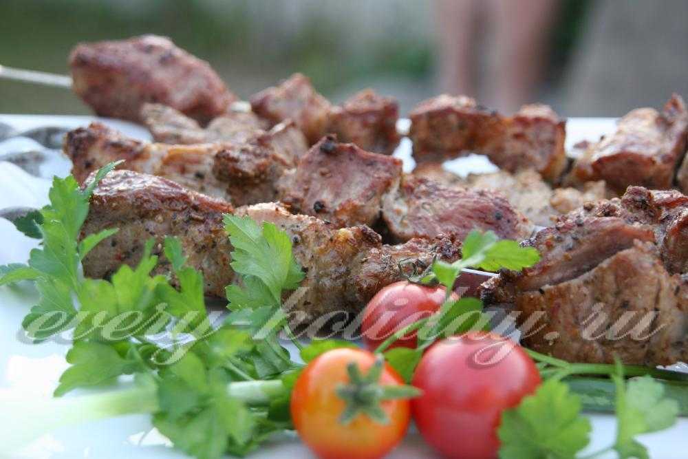 Маринование шашлыка в вине рецепт. свиной шашлык в вине белом и красном