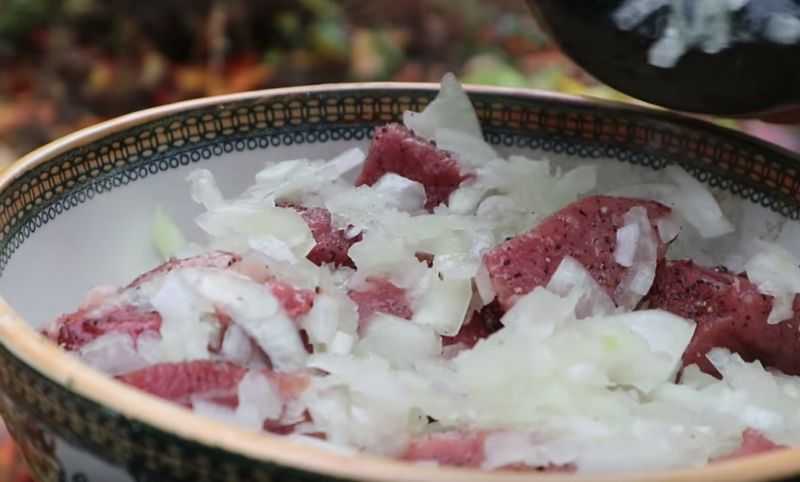 Как замариновать шашлык, чтобы все были в восторге [маринад для шашлыка из гранатового сока]