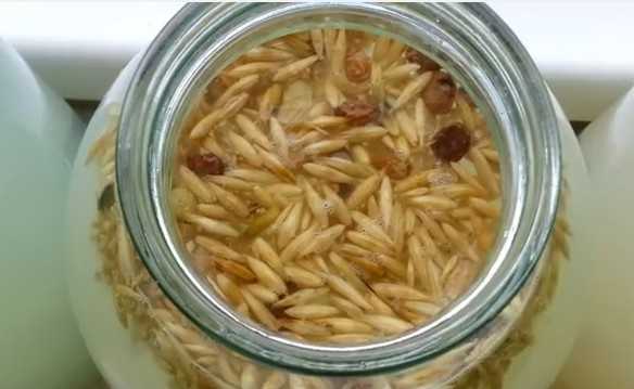 Квас из березового сока с изюмом - рецепты с сухофруктами, сахаром, медом иячменем. как приготовить, хранить и чем полезен квас из березового сока с изюмом?