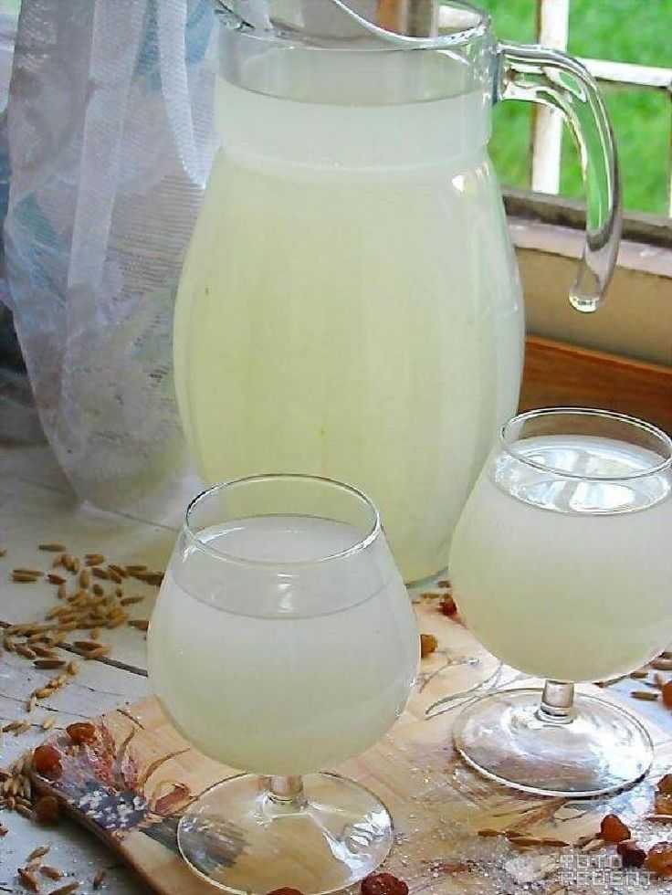 Квас из овса: польза и вред для здоровья