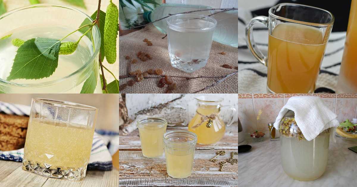 Рецепт березового сока с апельсином и лимоном