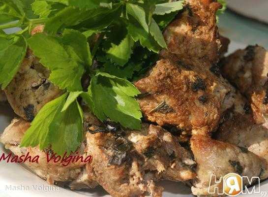 Самые лучшие маринады для шашлыка из свинины. топ-8 рецептов вкусных маринадов для шашлыка: из курицы, баранины, говядины и рыбы...