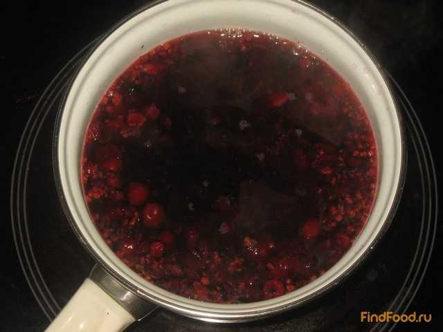 Кисель из замороженных ягод клюквы и черной смородины
