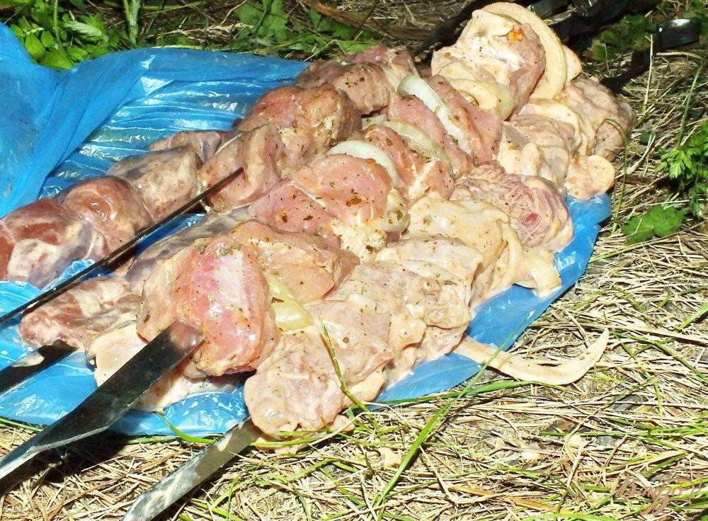 Шашлык в духовке в рукаве - 7 рецептов из свинины, говядины, с луком